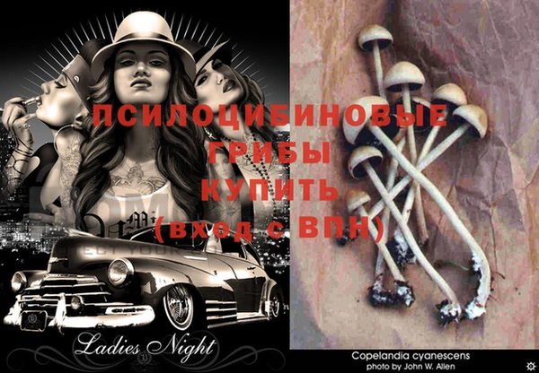 mdpv Ельня