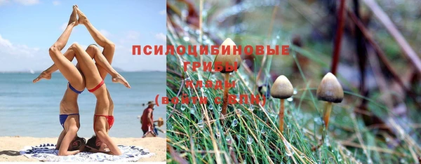 MDMA Premium VHQ Елизово